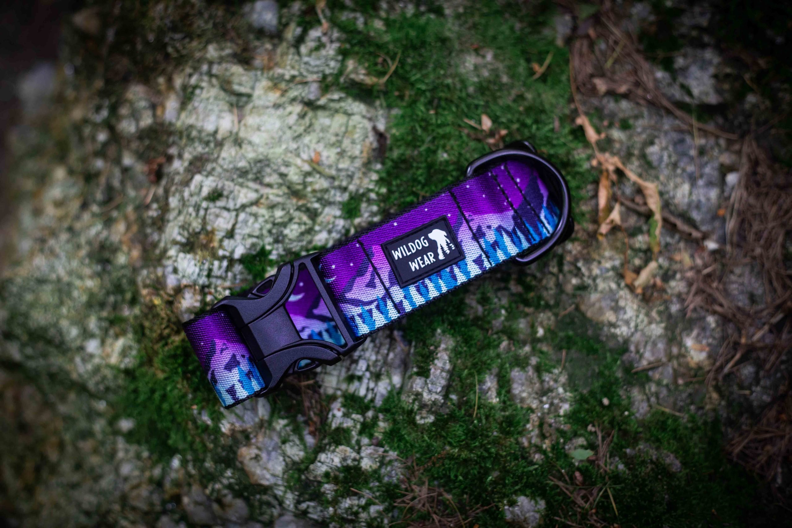 Obojok Aurora