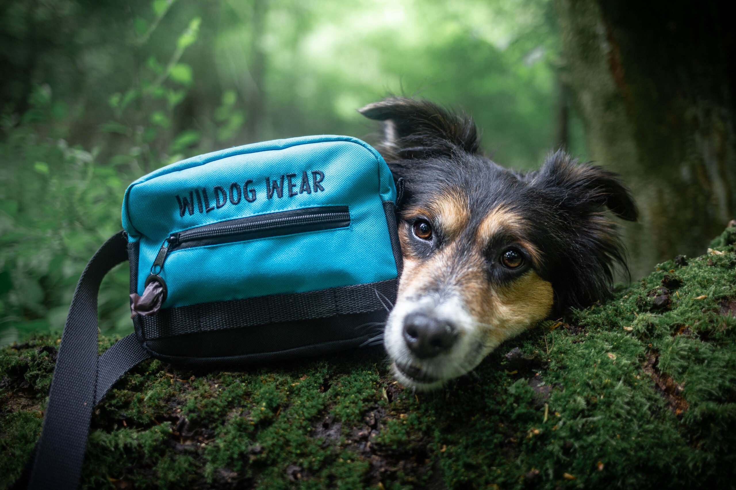 Treat bag no.2 - Image 9