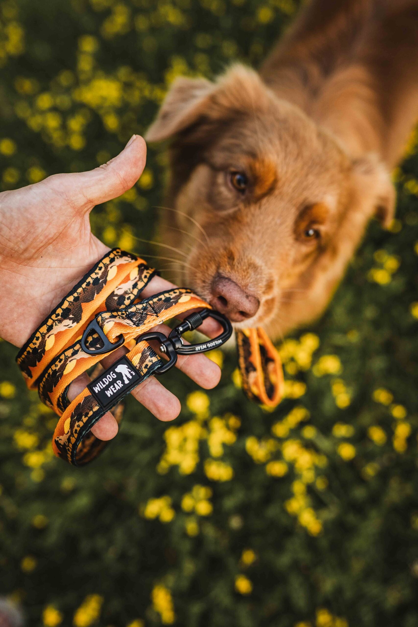 Adventurous leash - Image 9