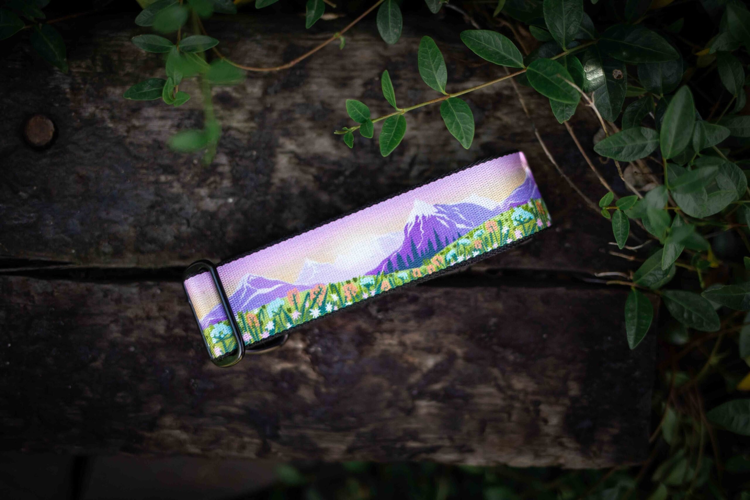Montana collar - Image 4