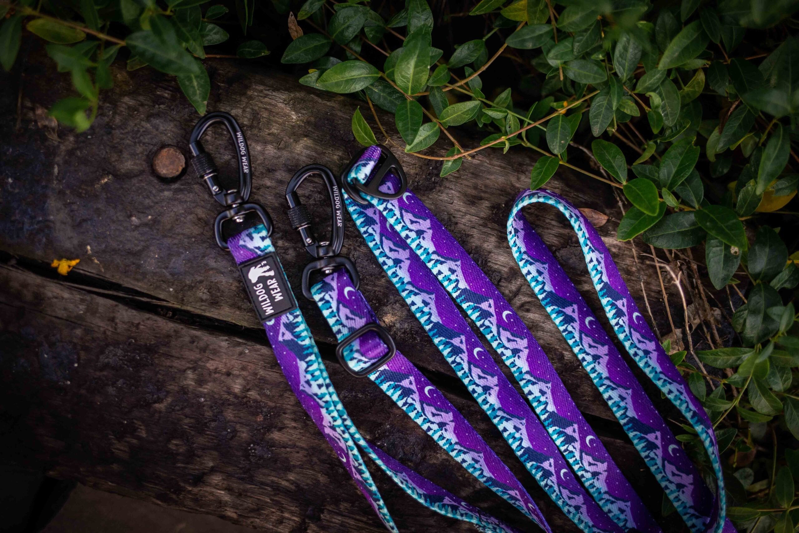 Adventurous leash