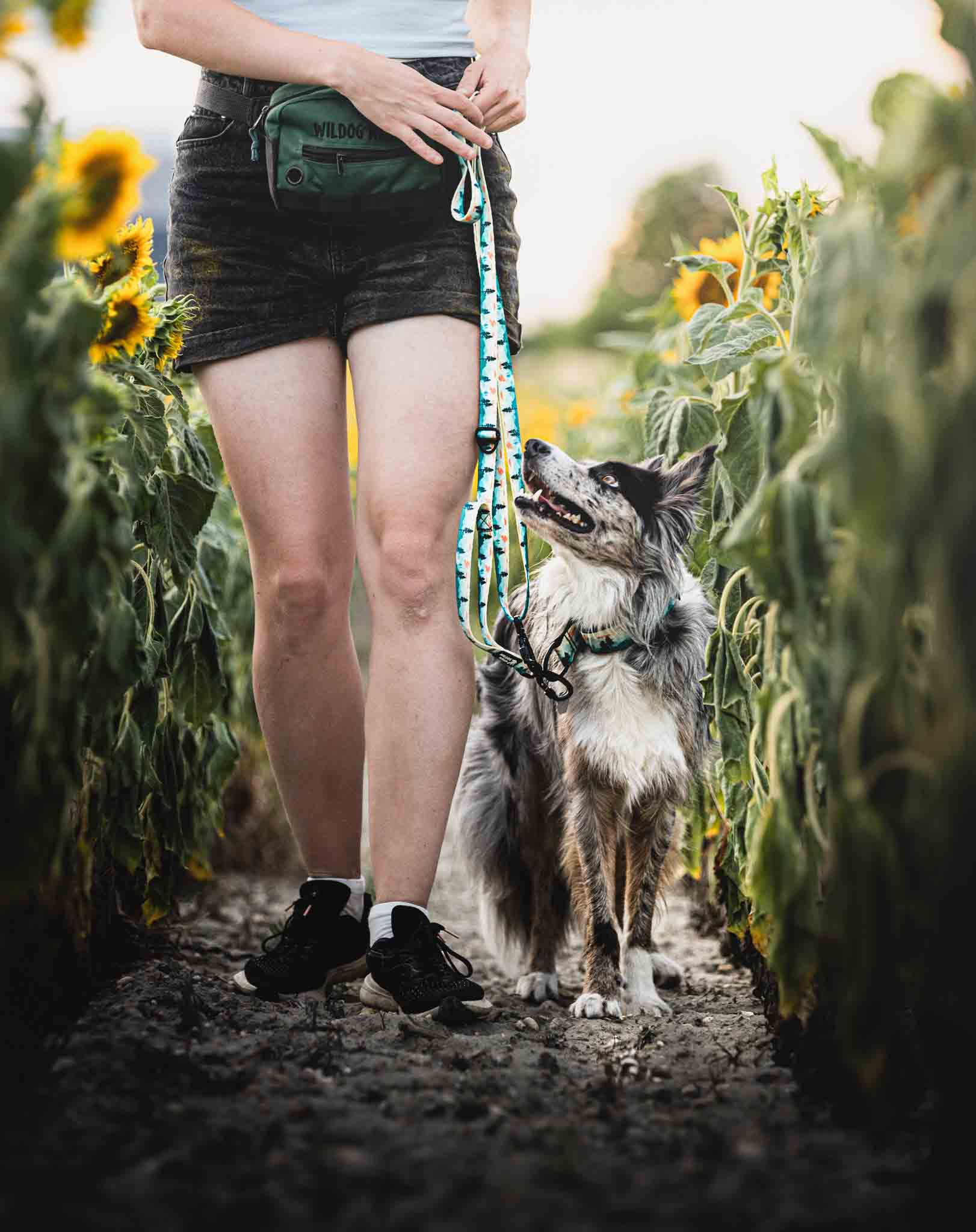 Adventurous leash - Image 2