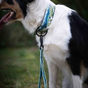 Alternative view of Traffic leash - Adventurous