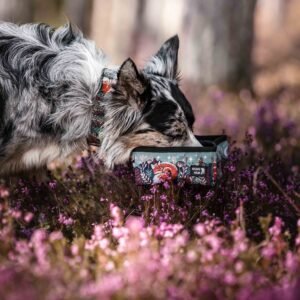 Alternative view of Wildsible bowl