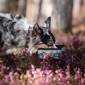 Alternative view of Wildsible bowl