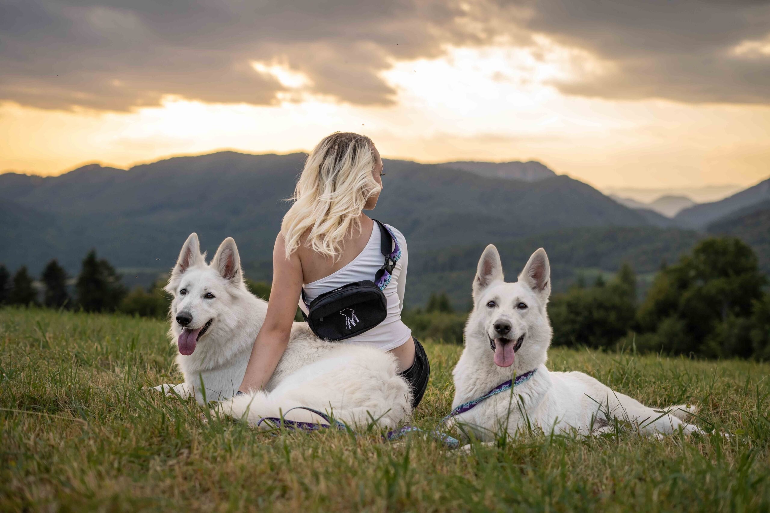 Ľadvinka Wildog Wear – Obrázok 2