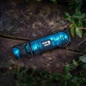 Obojok Northern lights