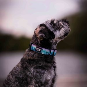 Alternative view of Adventurous obojok MIDI