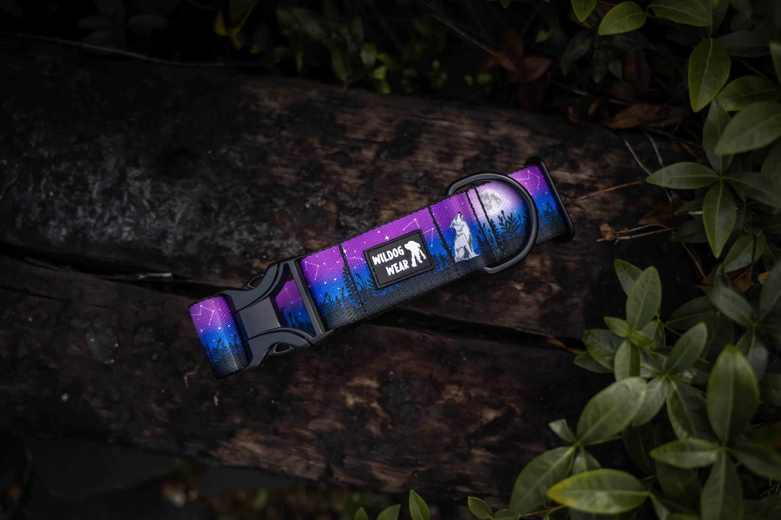 Stargazing Collar