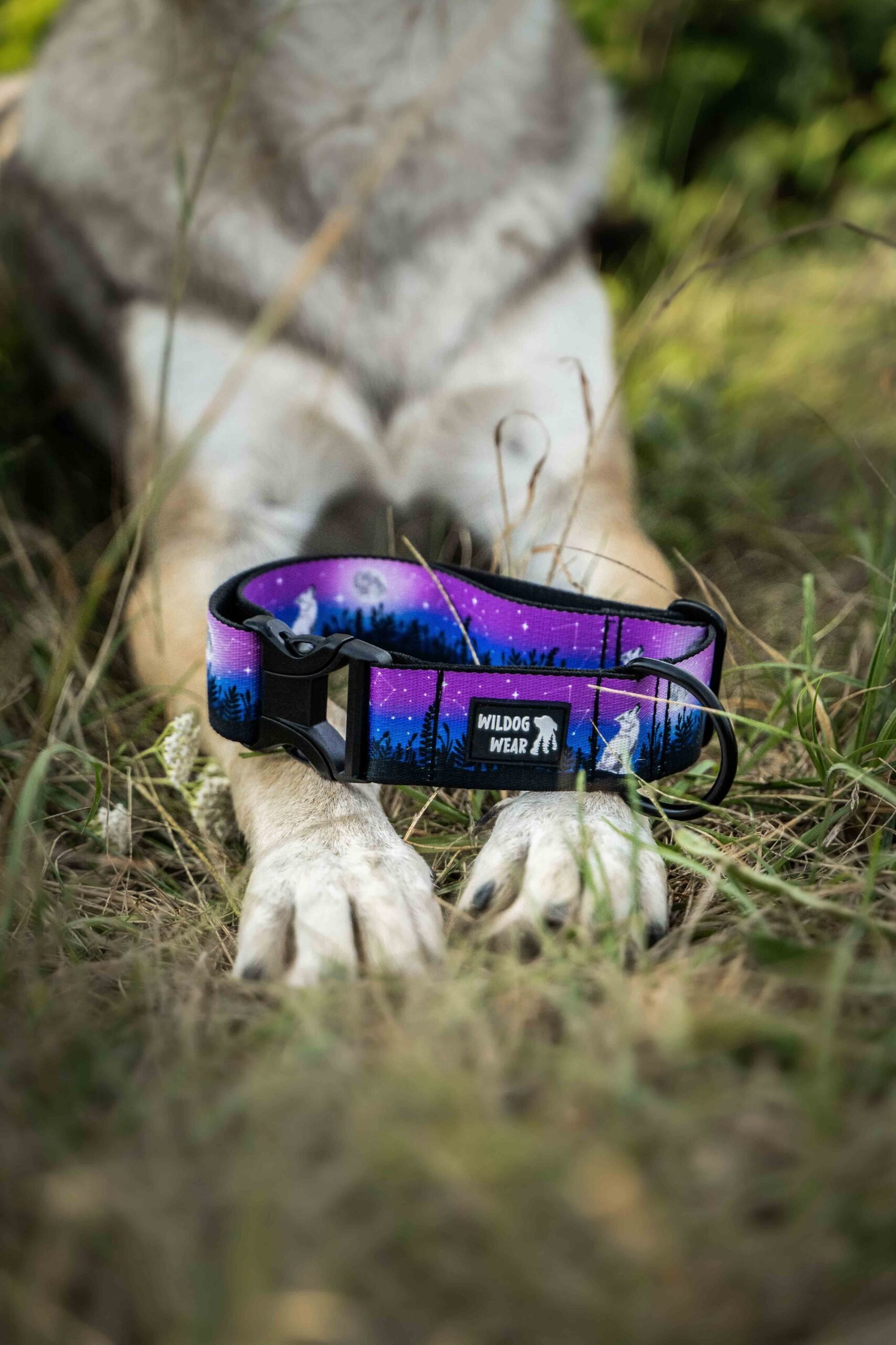 Stargazing Collar - Image 5