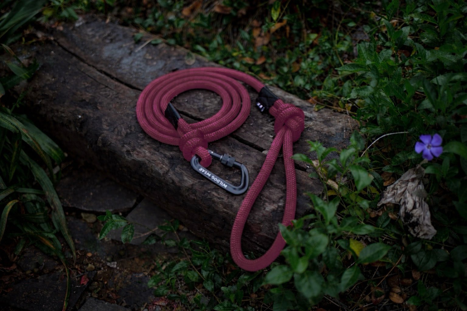 Burgundy - WILD ROPE vodítko